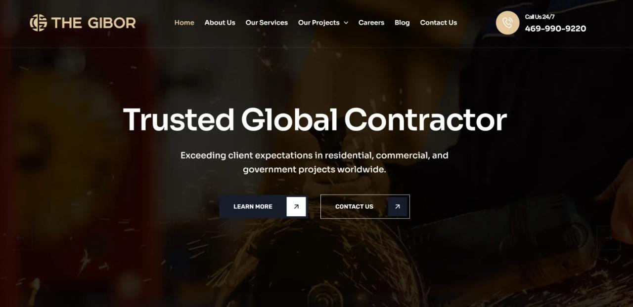 Web design and development project 11